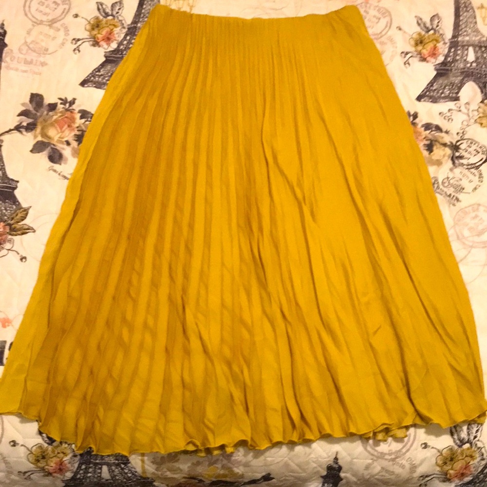 NWT Pleated Midi Skirt
